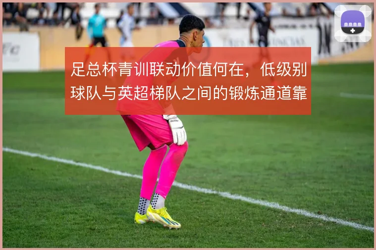 足总杯青训联动价值何在,低级别球队与英超梯队之间的锻炼通道靠什么打通