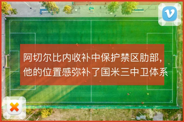阿切尔比内收补中保护禁区肋部，他的位置感弥补了国米三中卫体系的空当