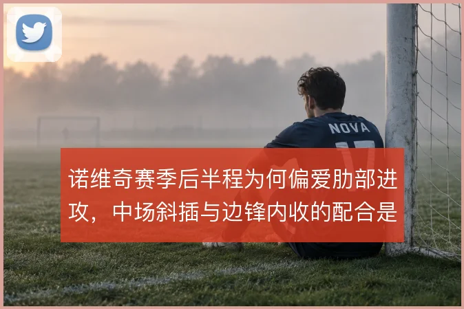 诺维奇赛季后半程为何偏爱肋部进攻,中场斜插与边锋内收的配合是解题关键