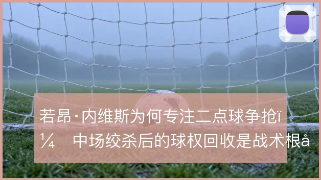 若昂·内维斯为何专注二点球争抢,中场绞杀后的球权回收是战术根基